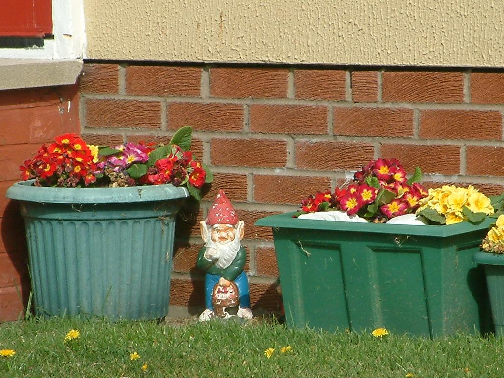 Click now to see this image full size.