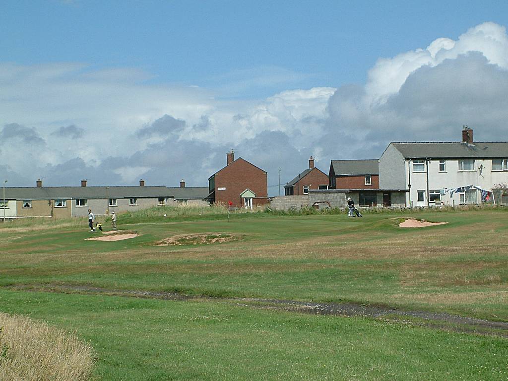 Click now to see this image full size.