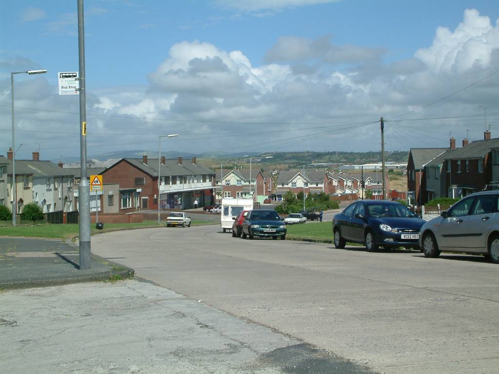 Click now to see this image full size.