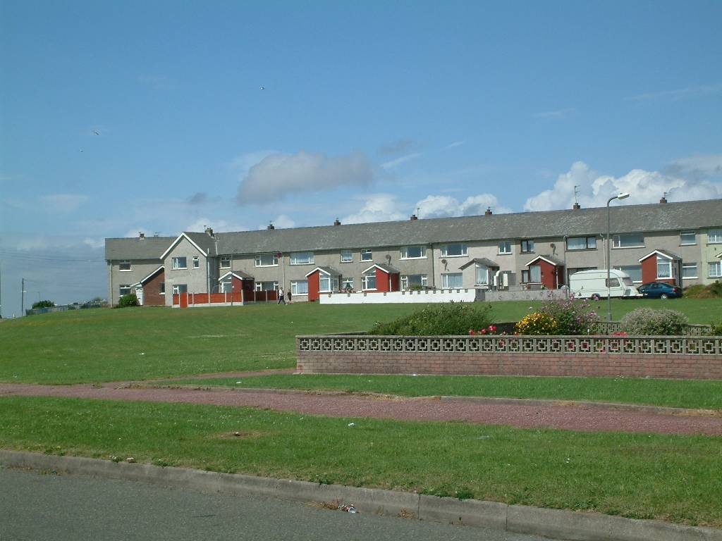 Click now to see this image full size.