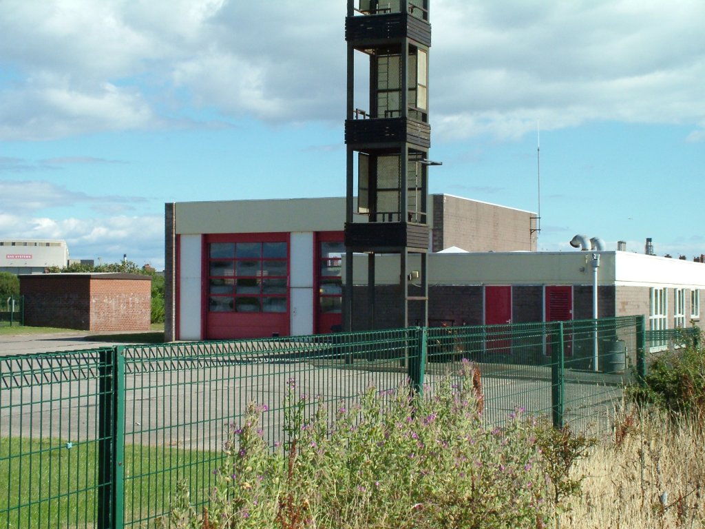 Click now to see this image full size.