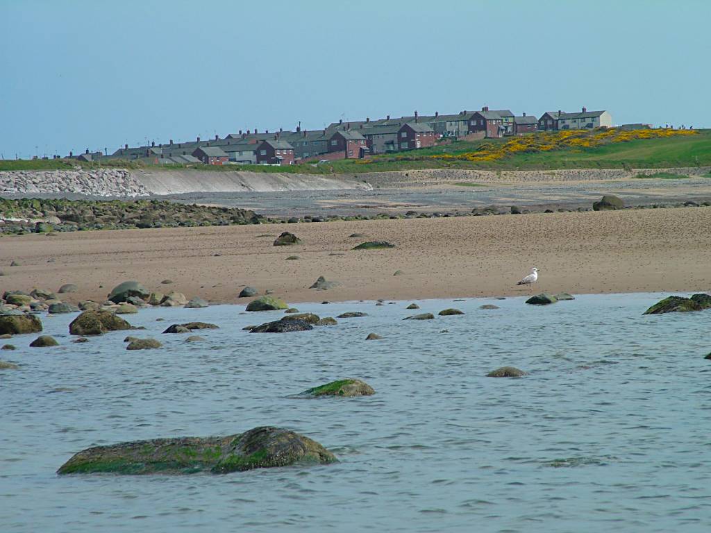 Click now to see this image full size.