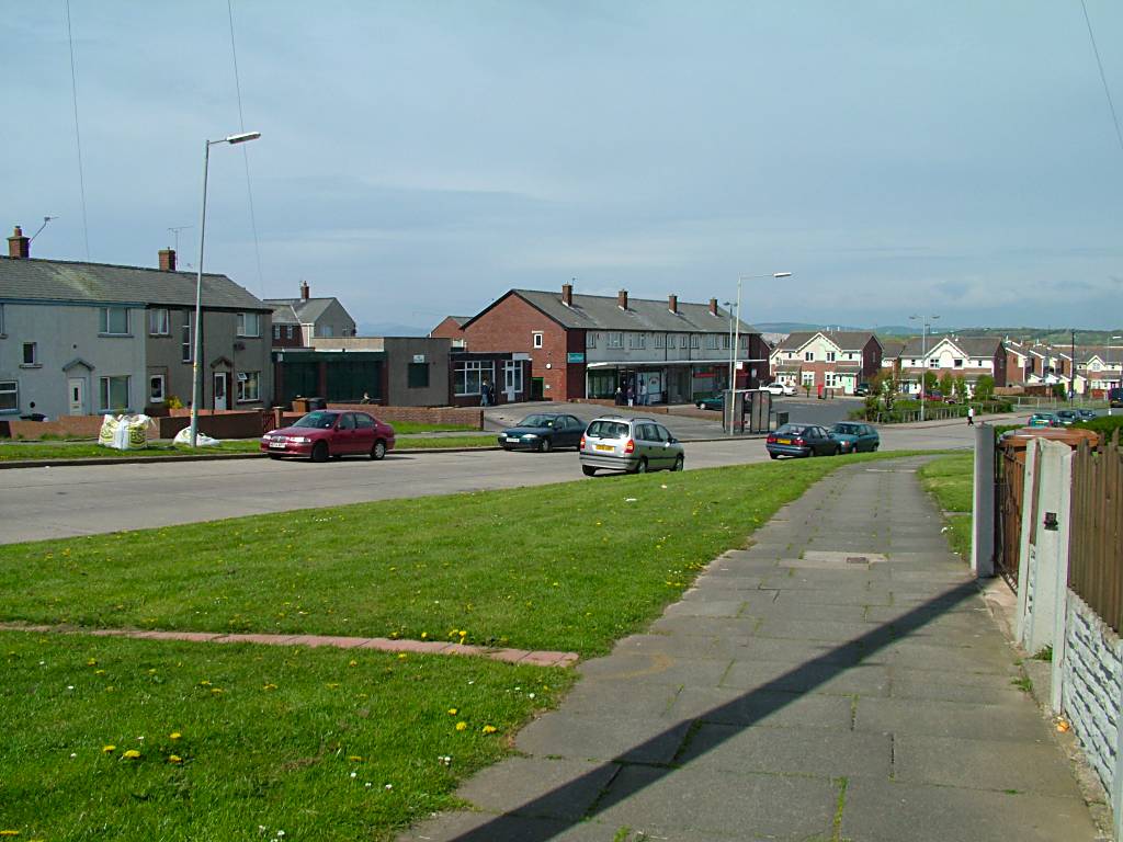 Click now to see this image full size.