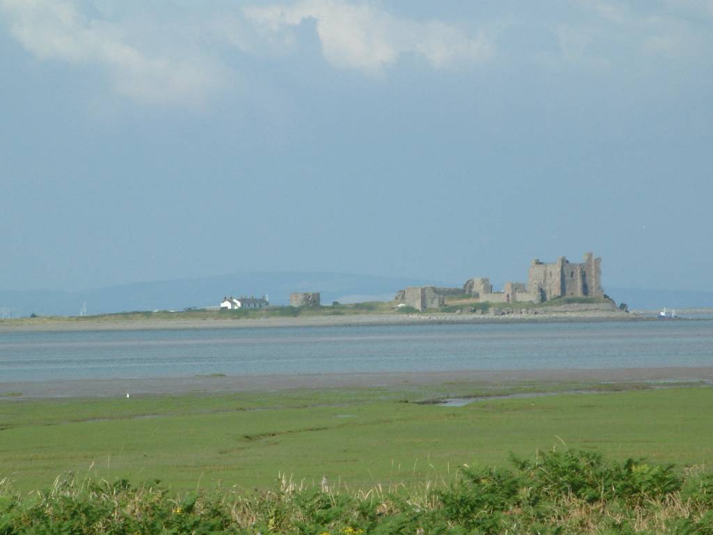 Click now to see this image full size.