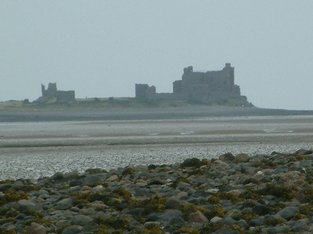 Click now to see this image full size.