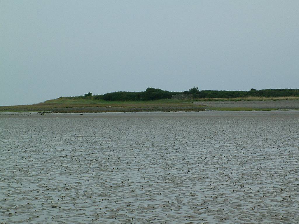 Click now to see this image full size.