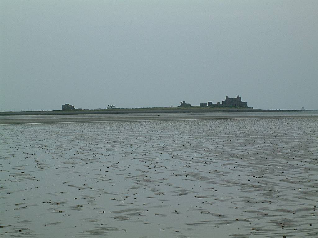 Click now to see this image full size.