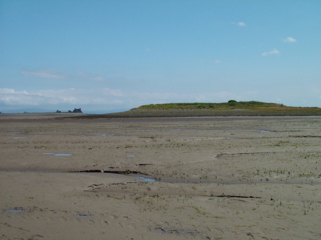 Click now to see this image full size.