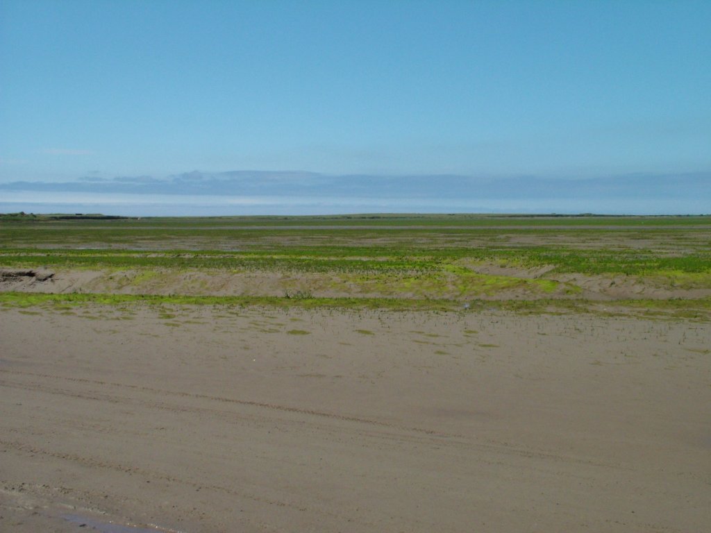 Click now to see this image full size.