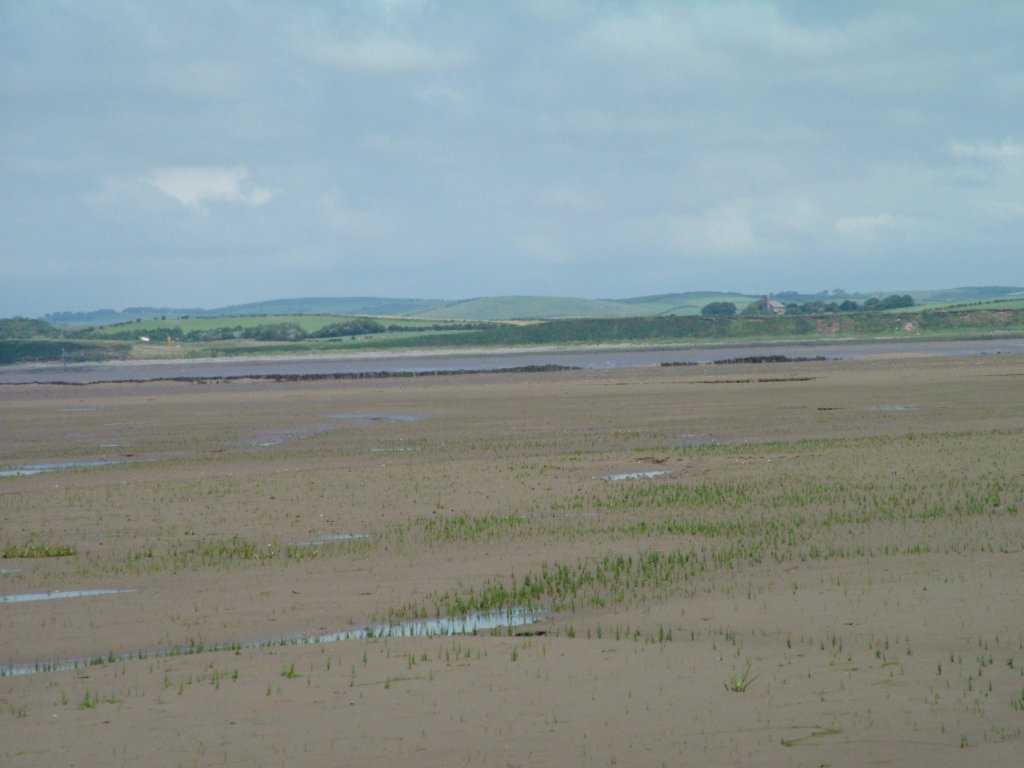 Click now to see this image full size.