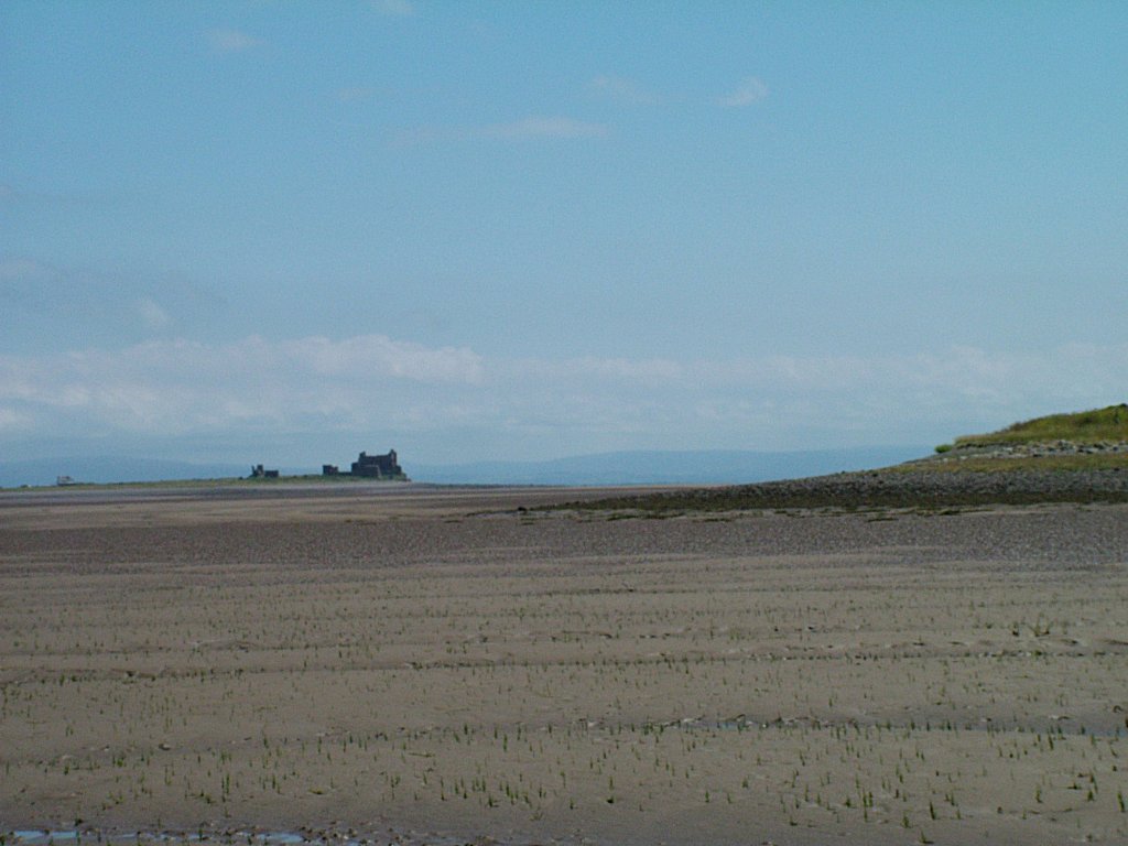 Click now to see this image full size.