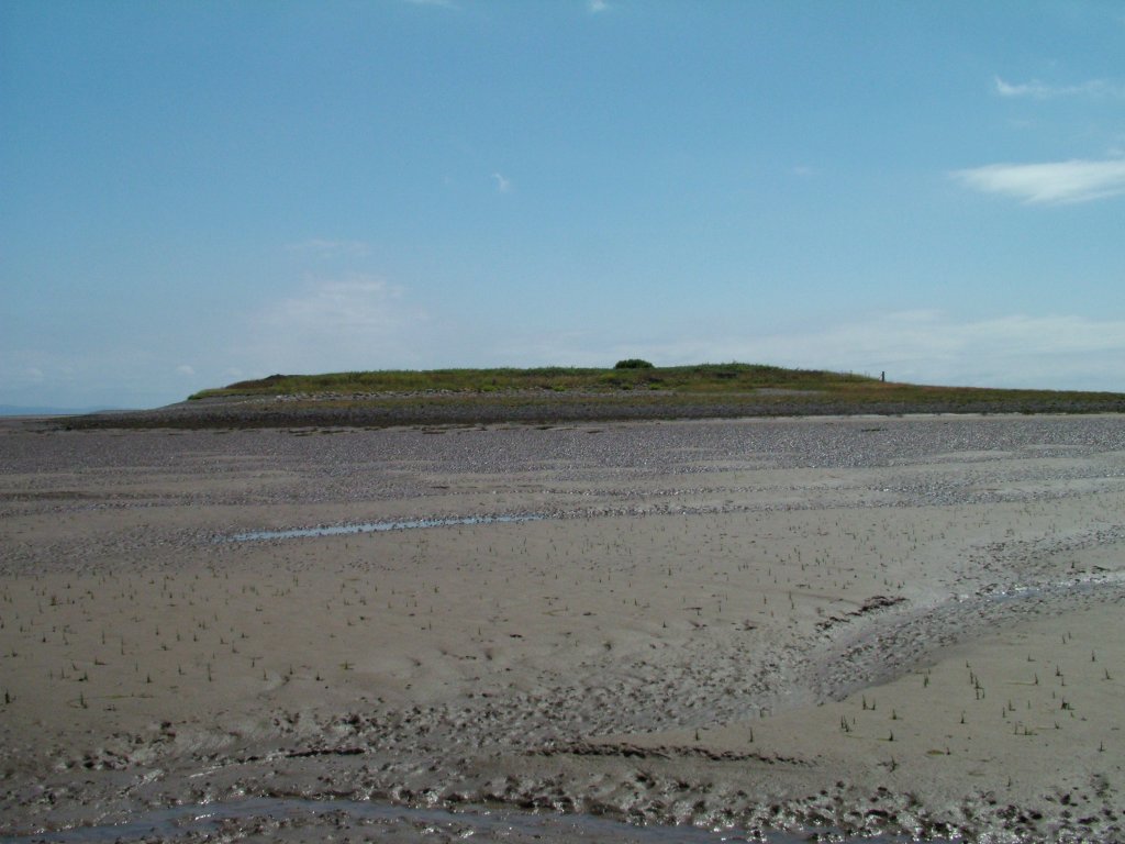 Click now to see this image full size.