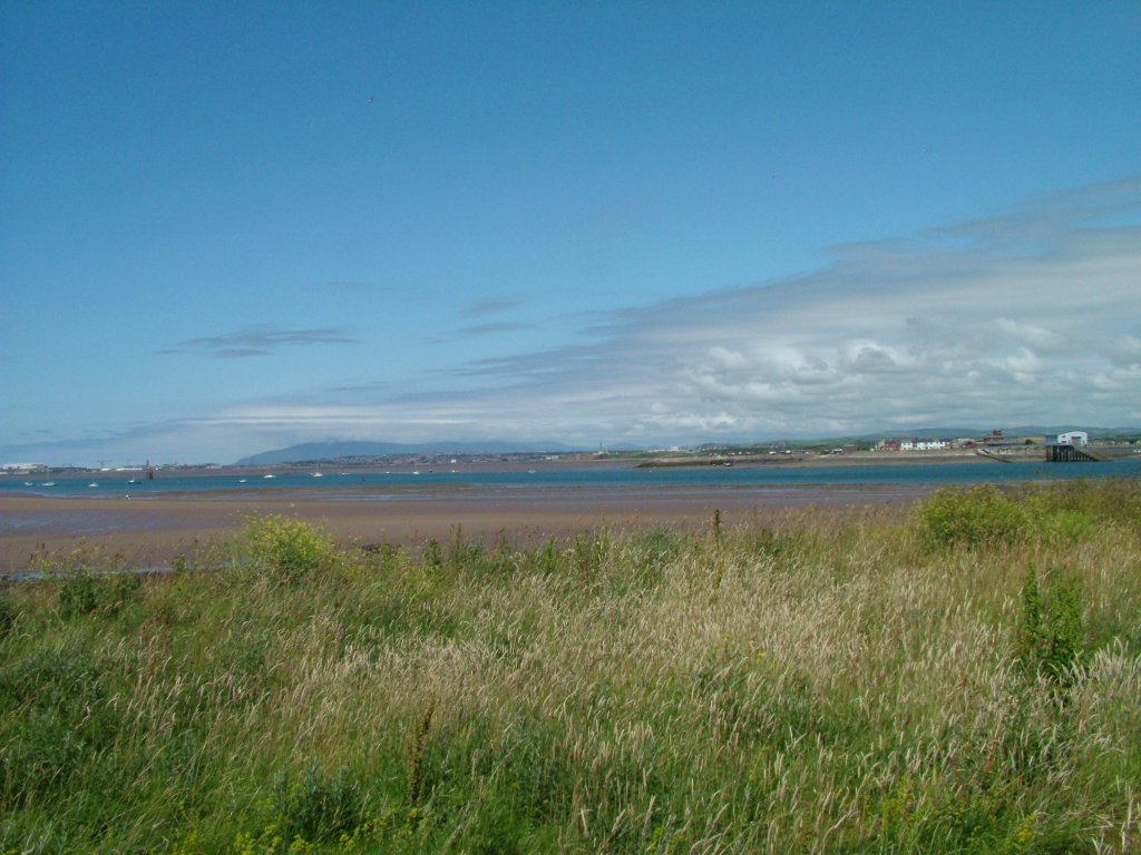 Click now to see this image full size.