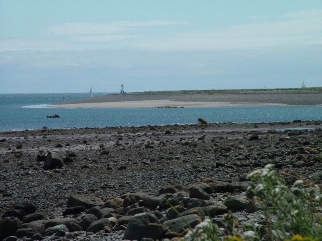 Click now to see this image full size.