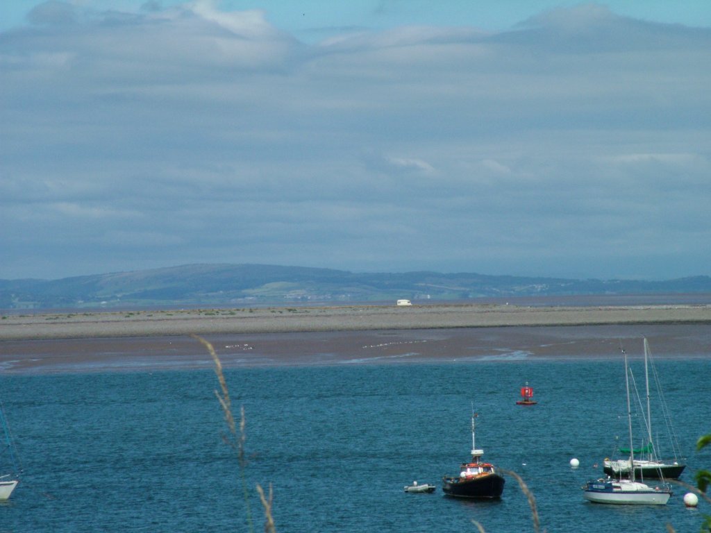 Click now to see this image full size.