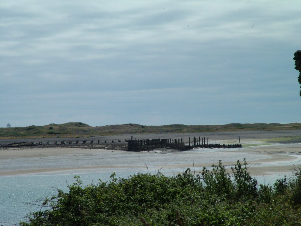 Click now to see this image full size.