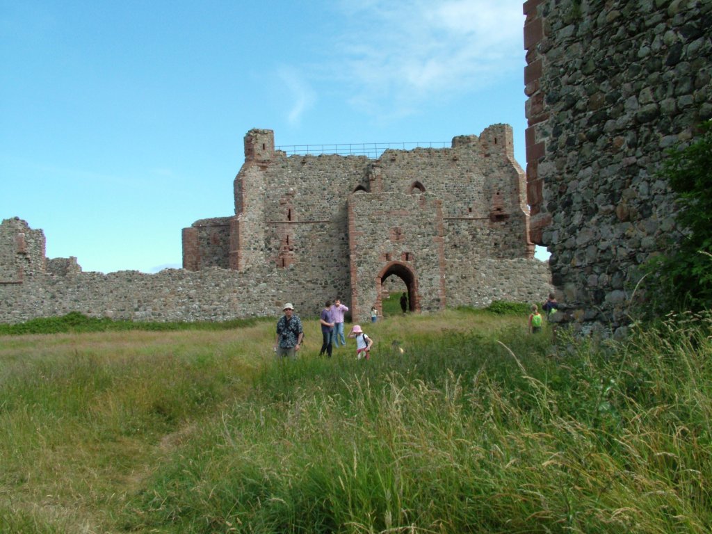 Click now to see this image full size.