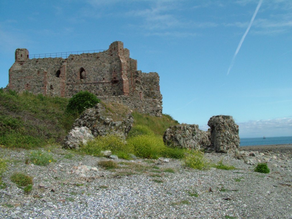 Click now to see this image full size.