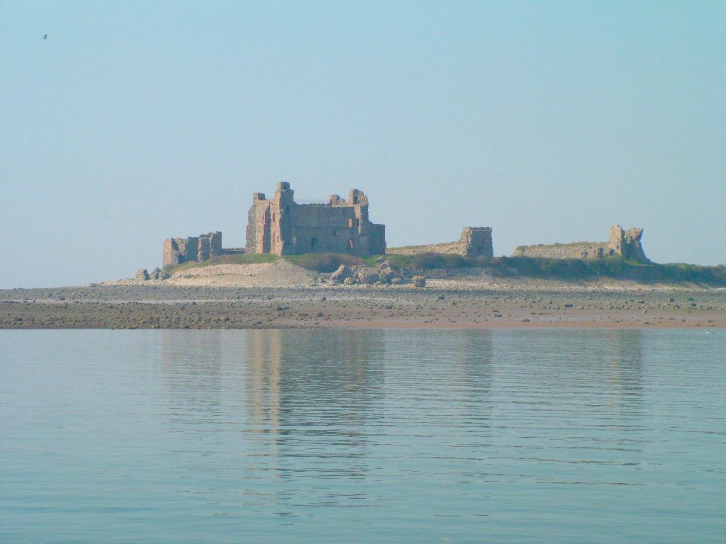 Click now to see this image full size.