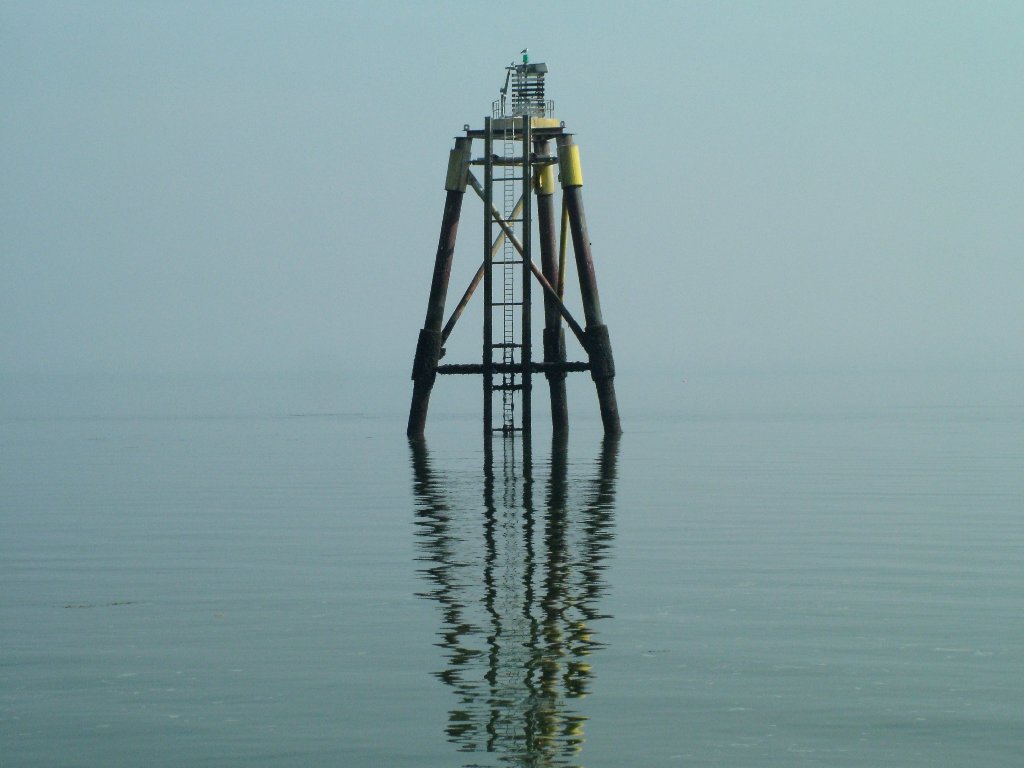 Click now to see this image full size.