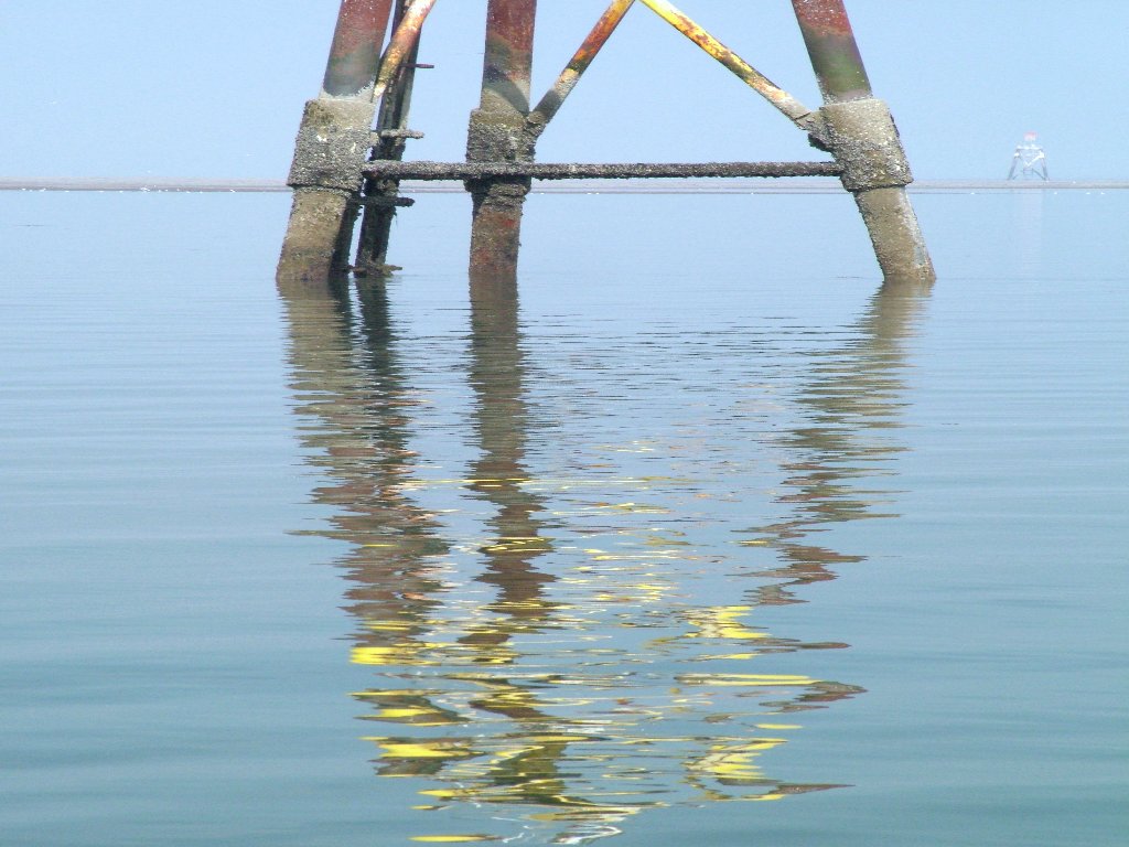 Click now to see this image full size.