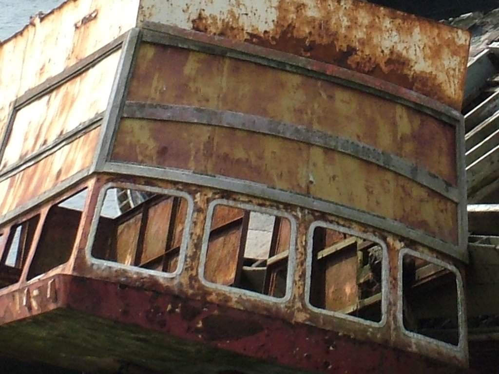 Click now to see this image full size.