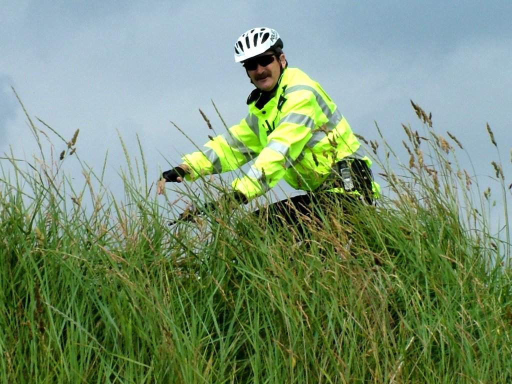 Click now to see this image full size.