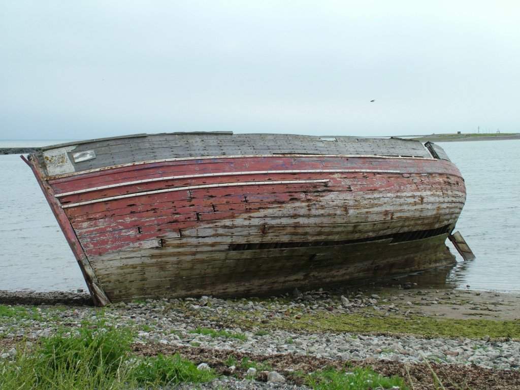 Click now to see this image full size.