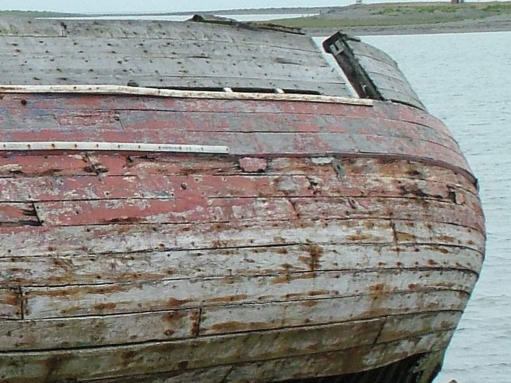 Click now to see this image full size.