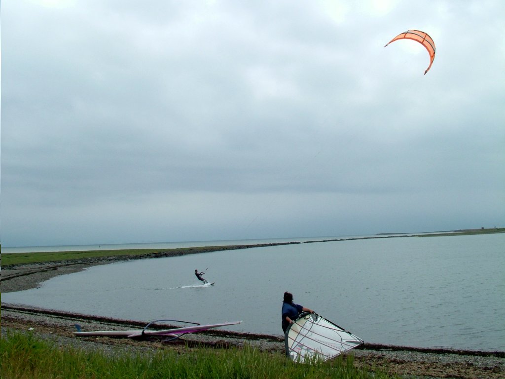 Click now to see this image full size.