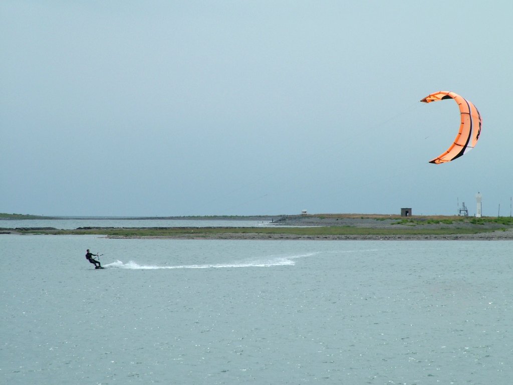 Click now to see this image full size.