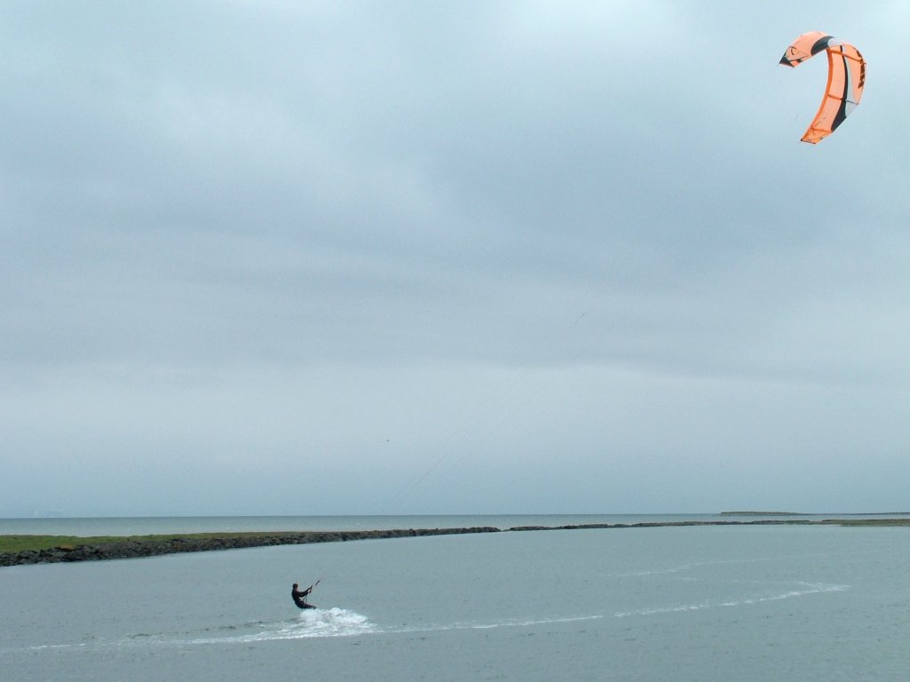 Click now to see this image full size.