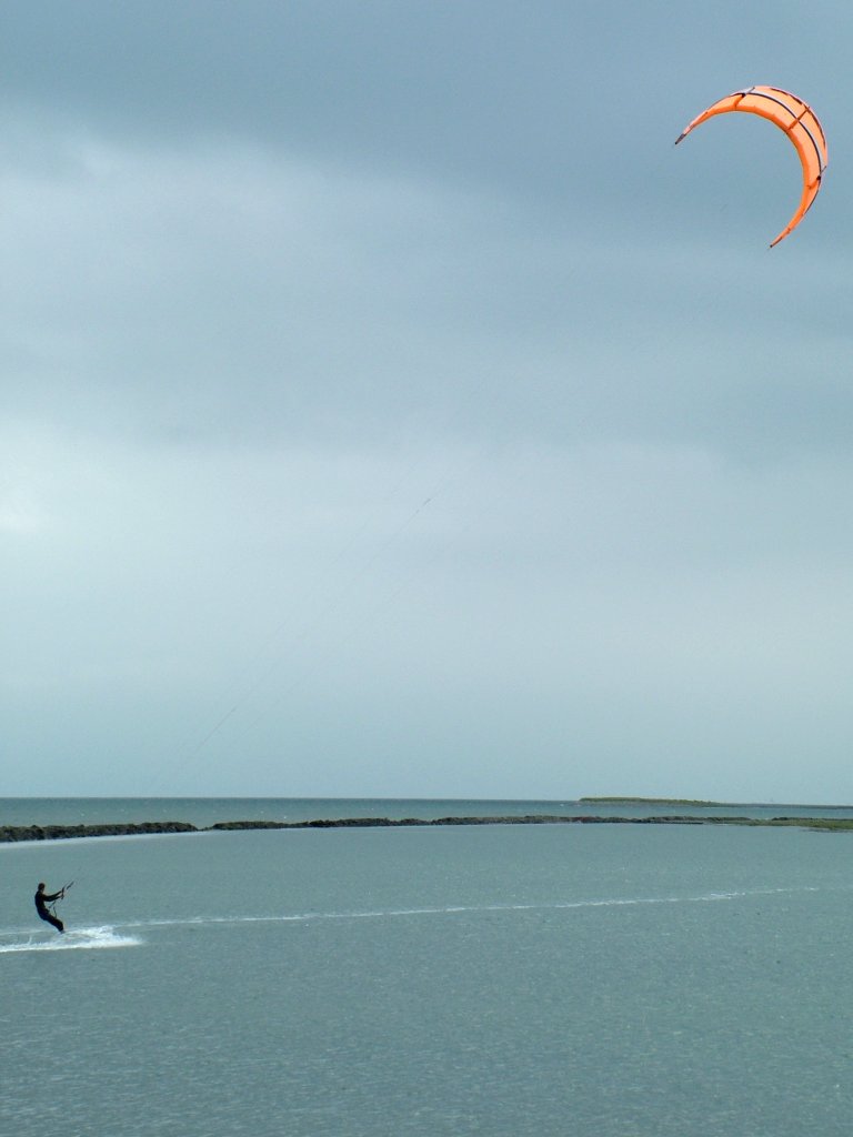 Click now to see this image full size.