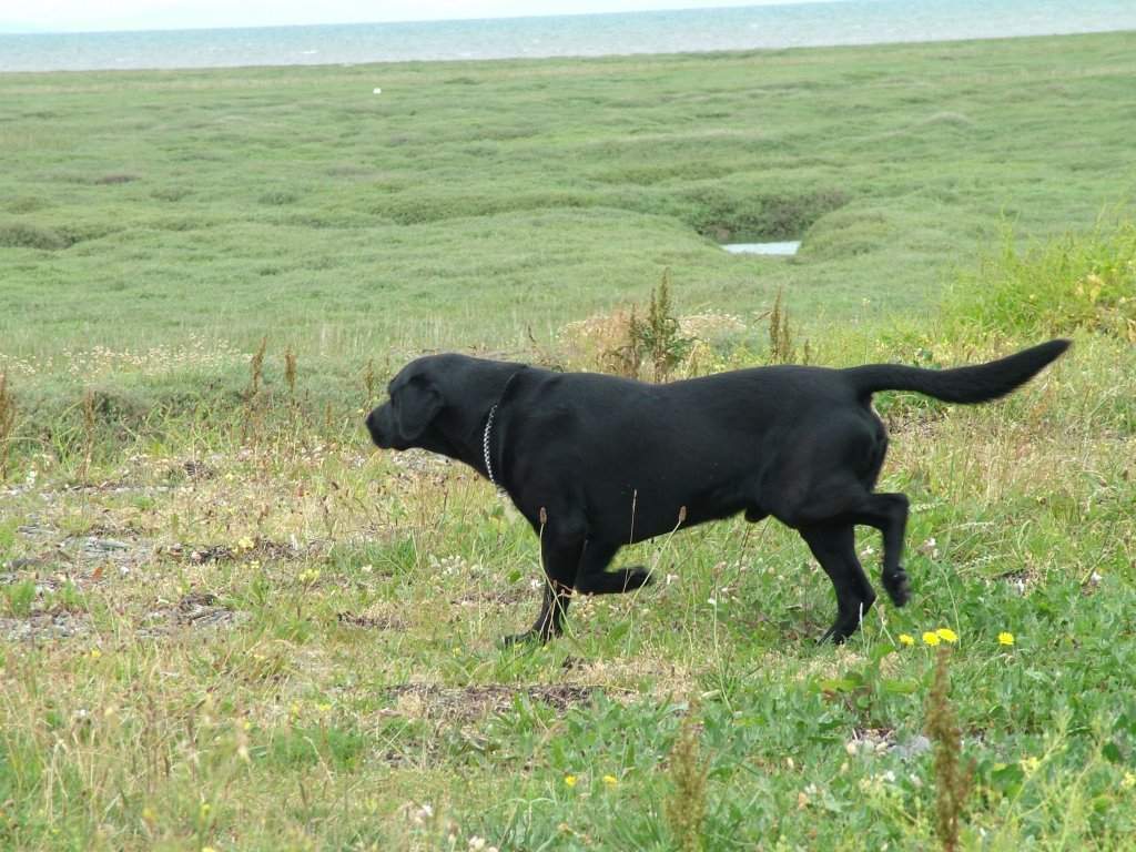 Click now to see this image full size.