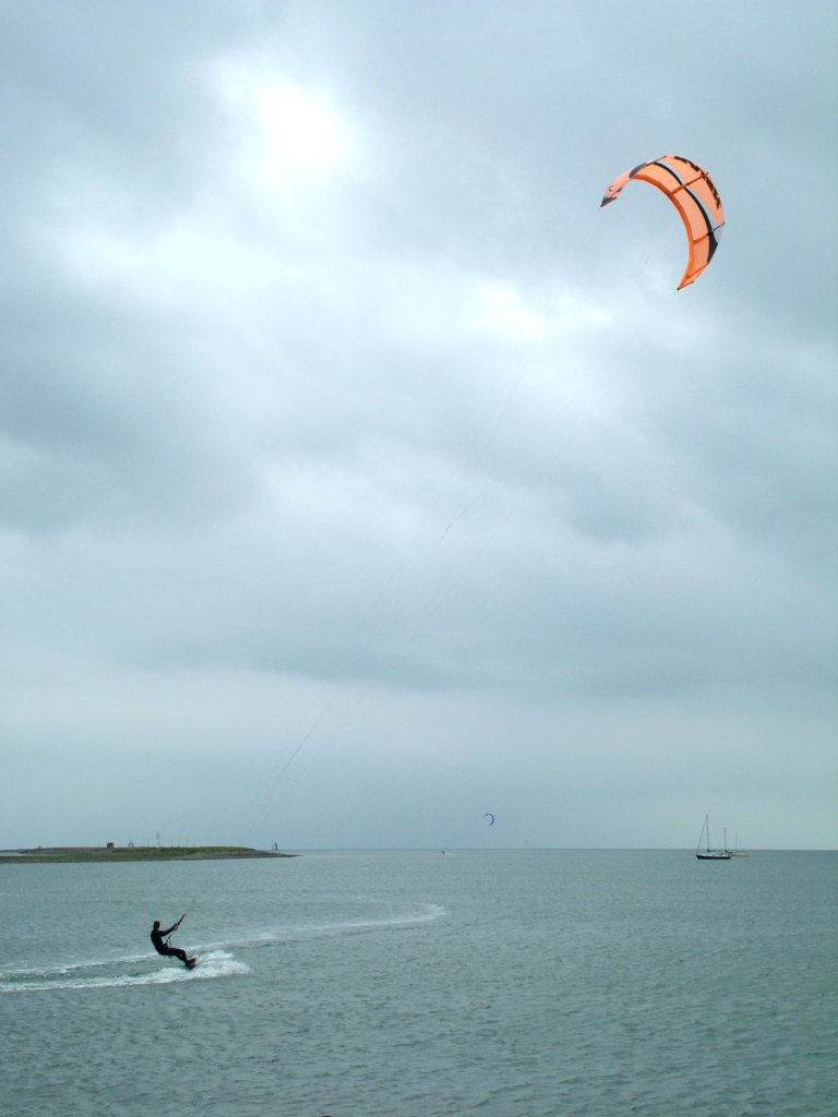 Click now to see this image full size.