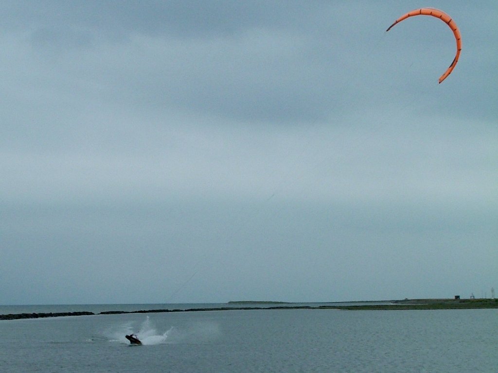 Click now to see this image full size.