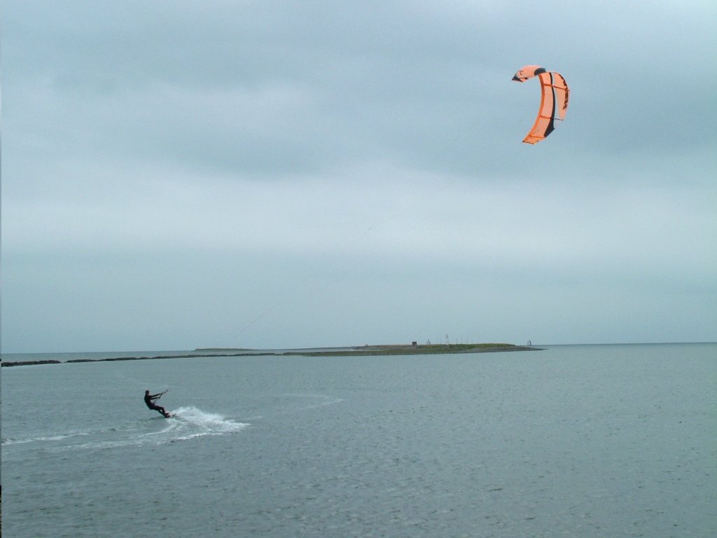 Click now to see this image full size.