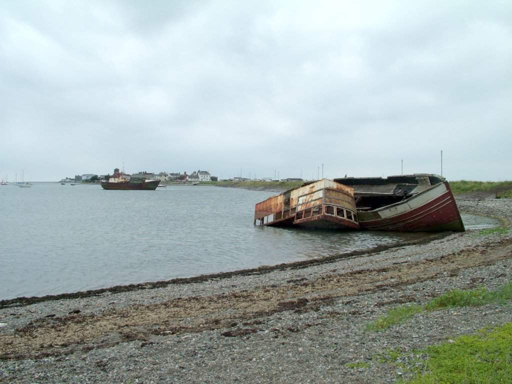 Click now to see this image full size.