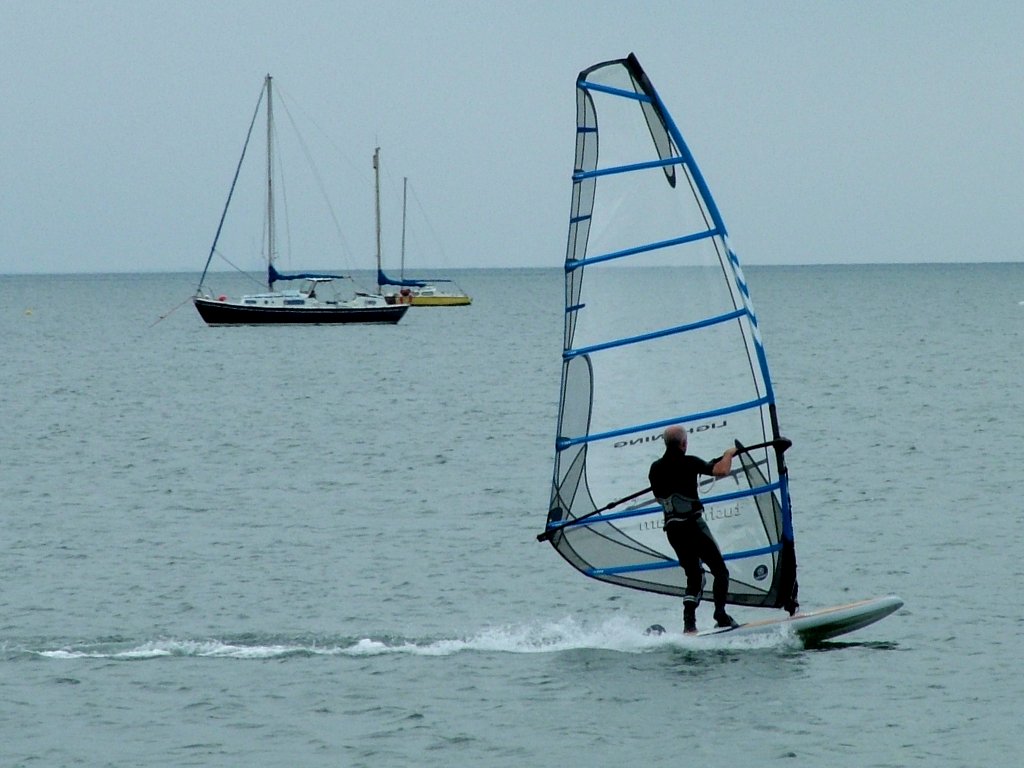 Click now to see this image full size.