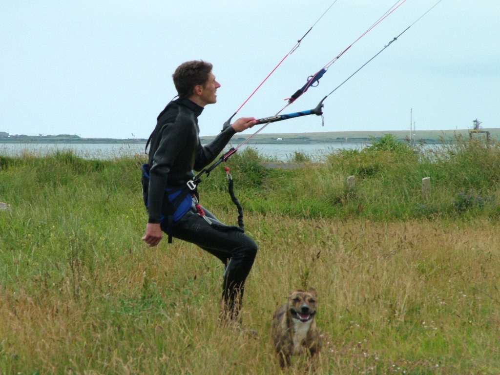 Click now to see this image full size.