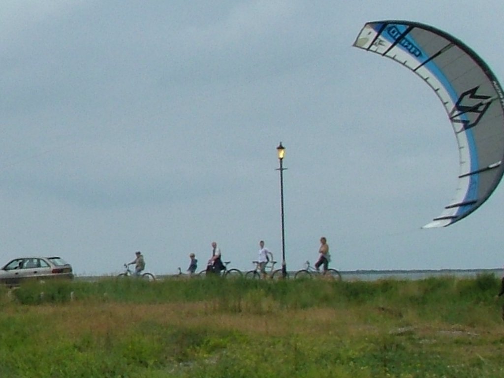 Click now to see this image full size.