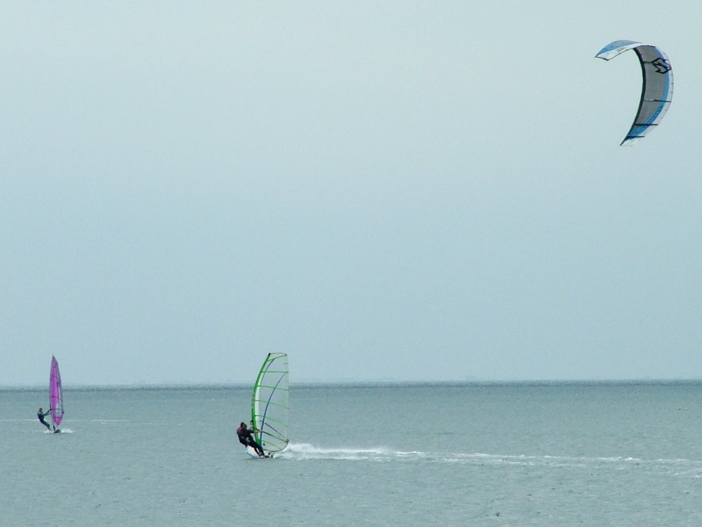 Click now to see this image full size.