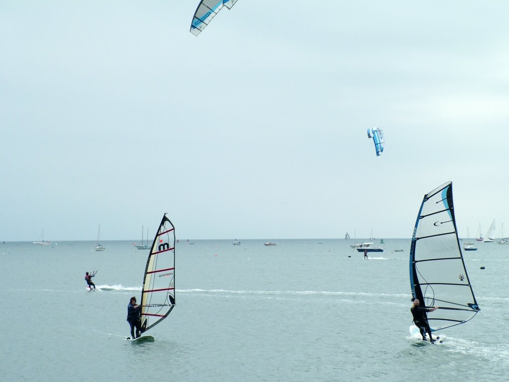 Click now to see this image full size.