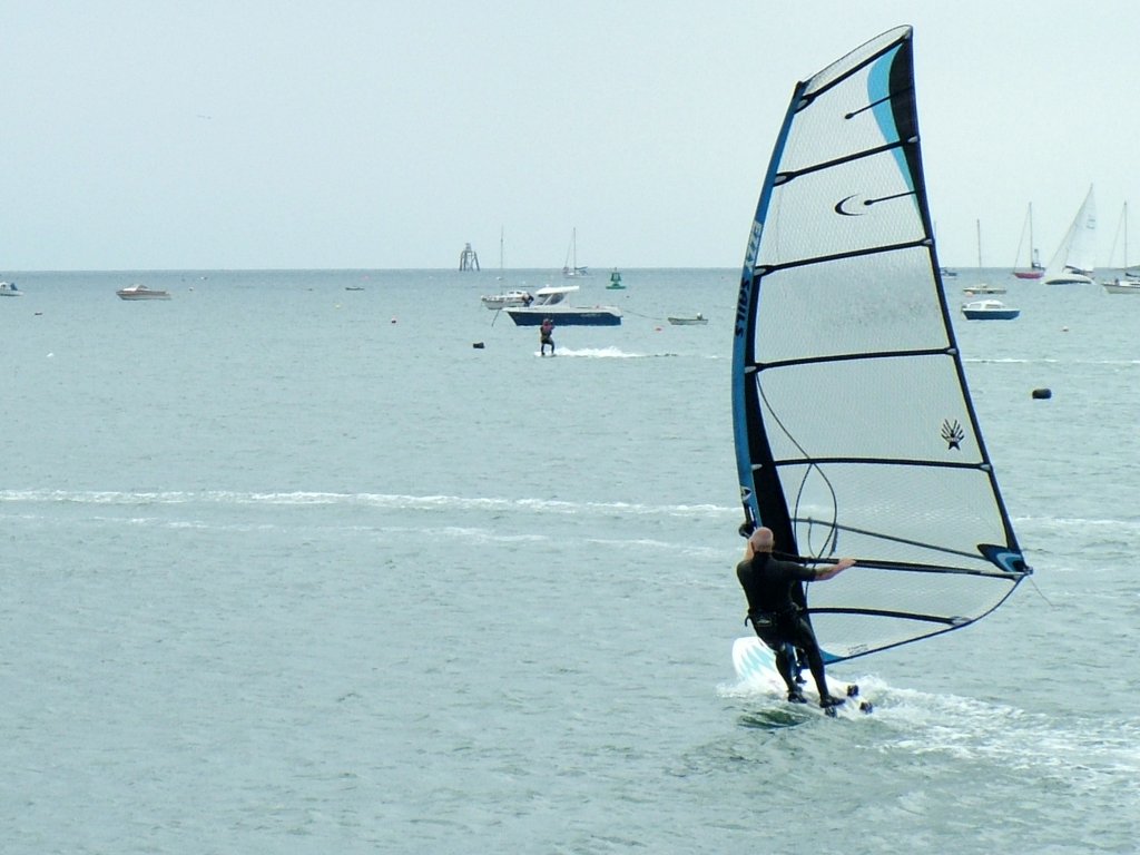 Click now to see this image full size.