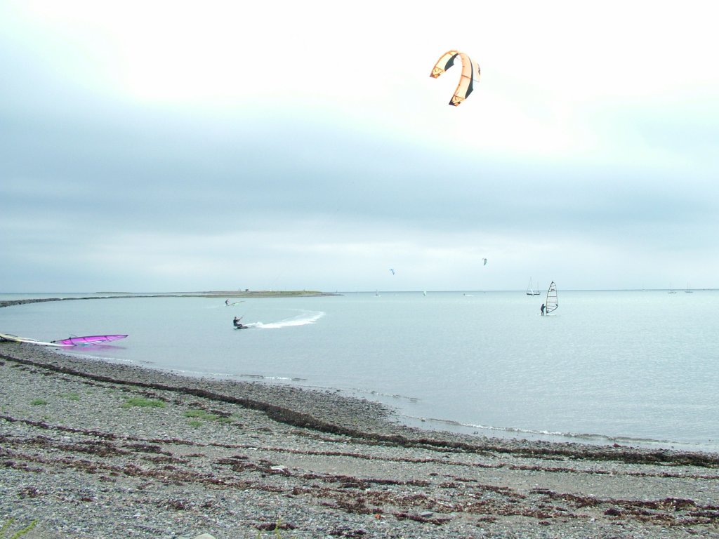 Click now to see this image full size.