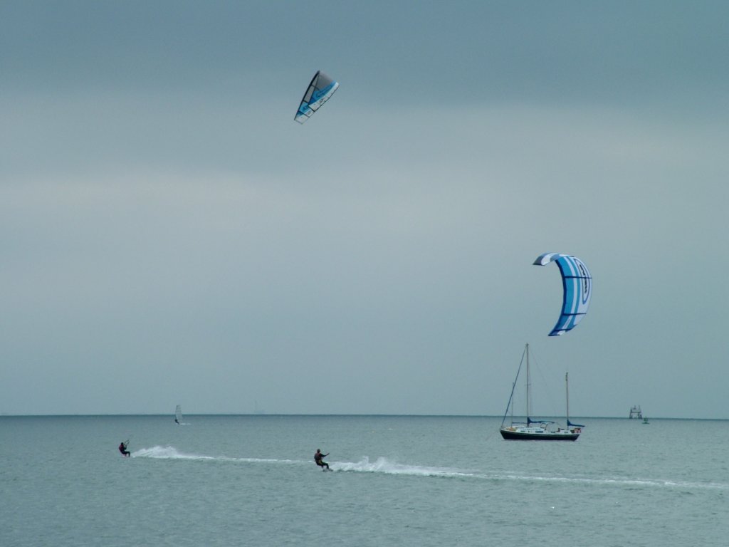 Click now to see this image full size.