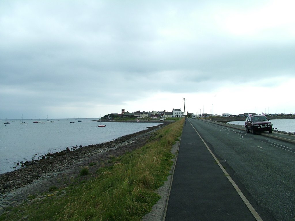 Click now to see this image full size.