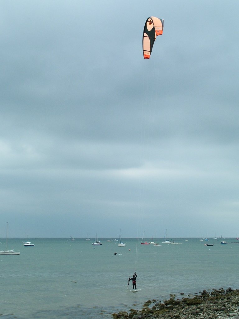 Click now to see this image full size.