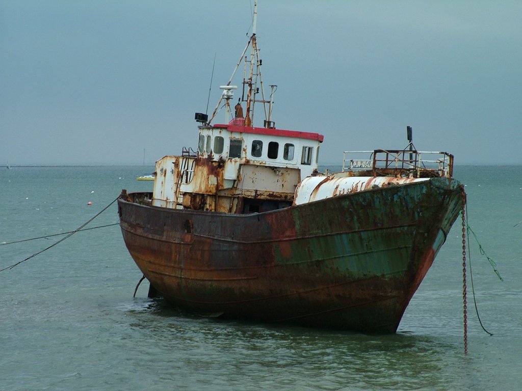 Click now to see this image full size.