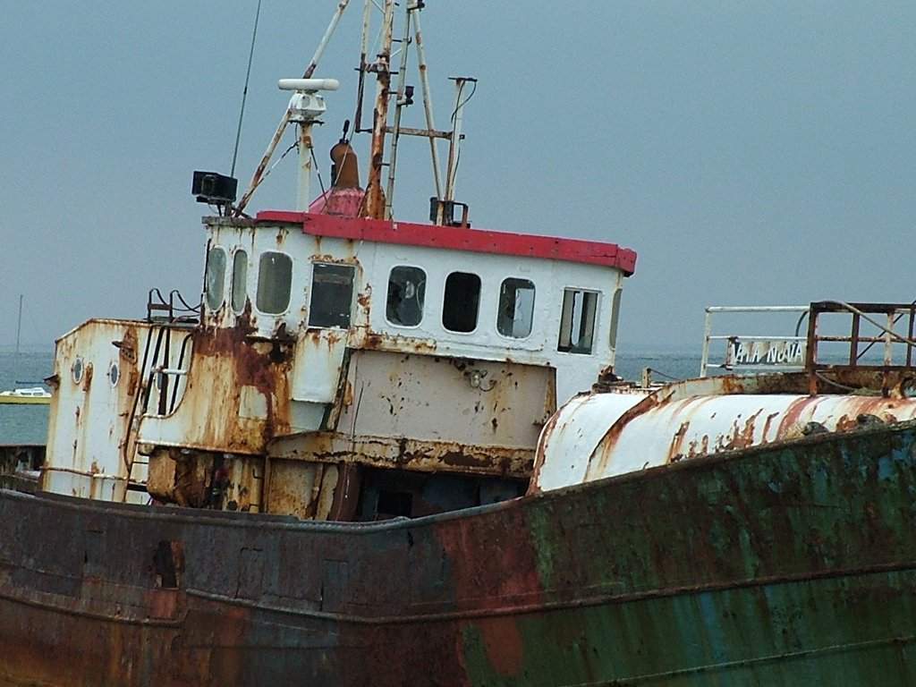 Click now to see this image full size.